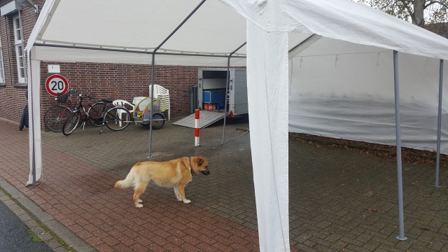 ../fotos/strassenfest_2017/2017-10-21 11.40.38.jpg